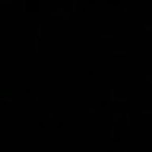 Meet your Posher, Sirine